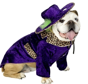 cool-dog-fancy-dress-costume-9084-p.jpg